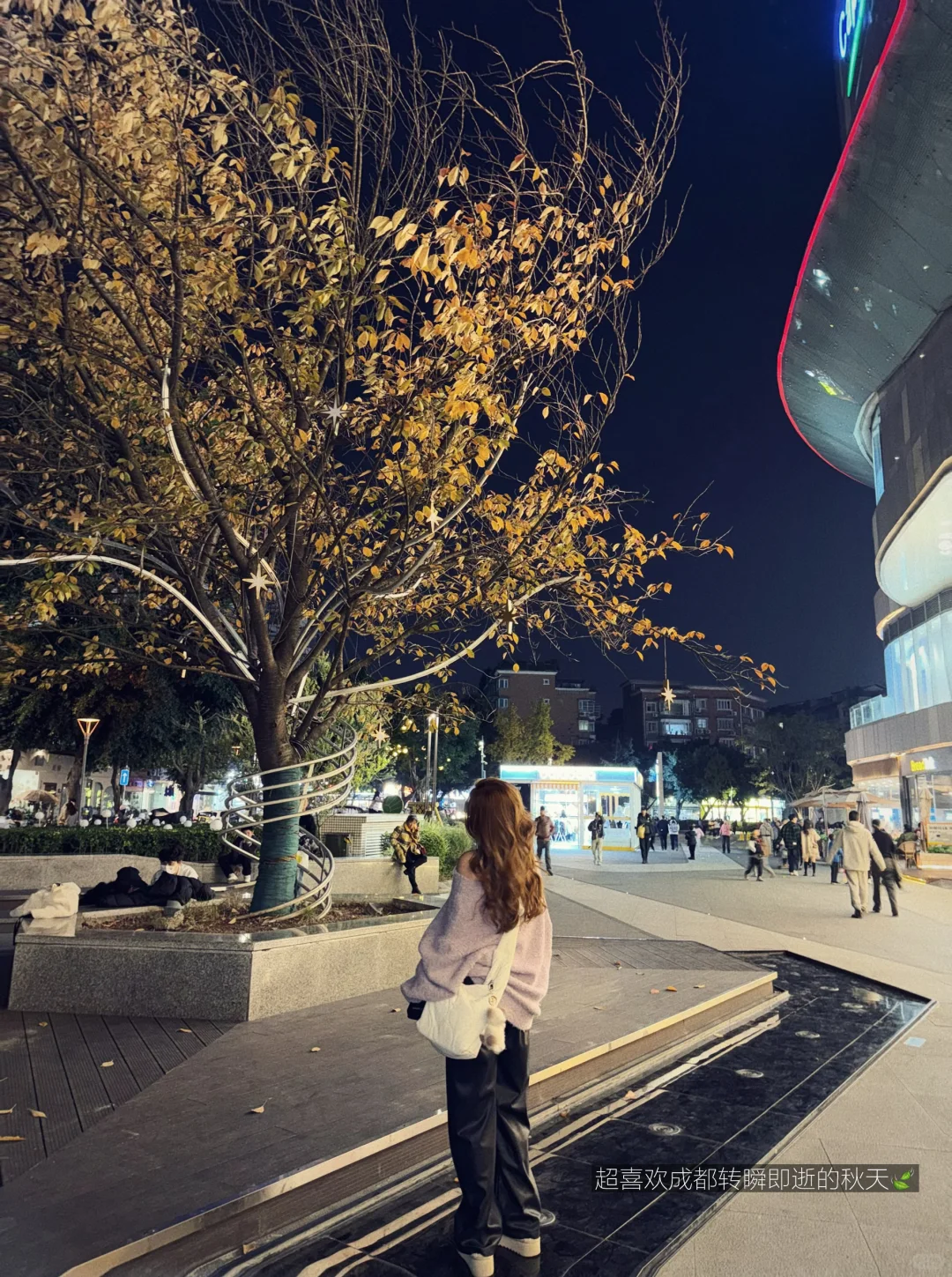 单词带背工具分享⭐️～