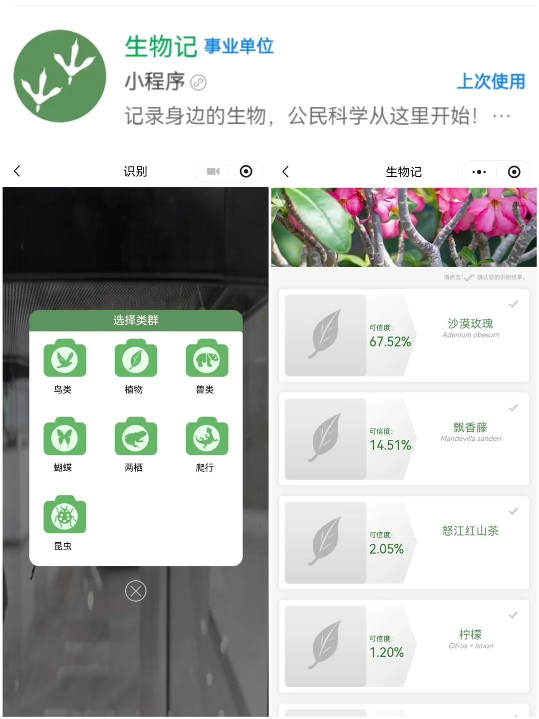 8️⃣个实用科普小程序·探索自然必备工具