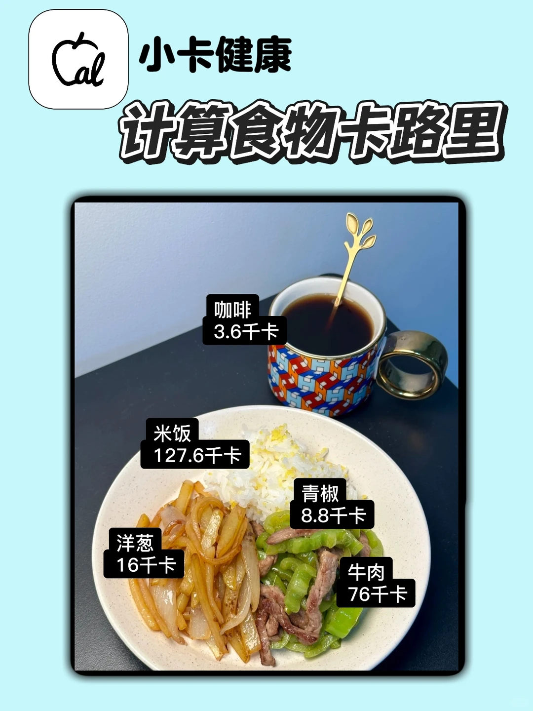 私藏热量计算app实测✅