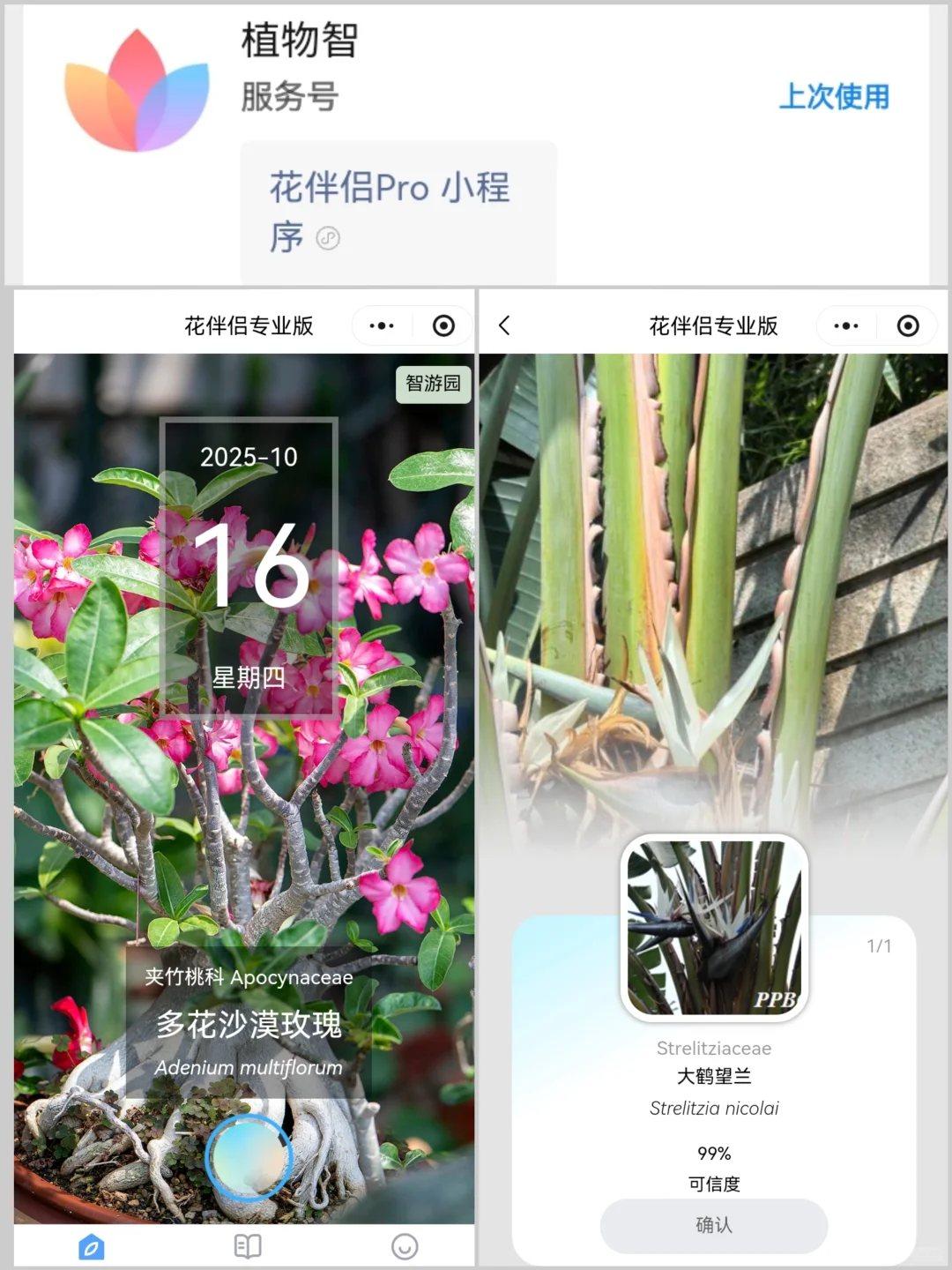 8️⃣个实用科普小程序·探索自然必备工具