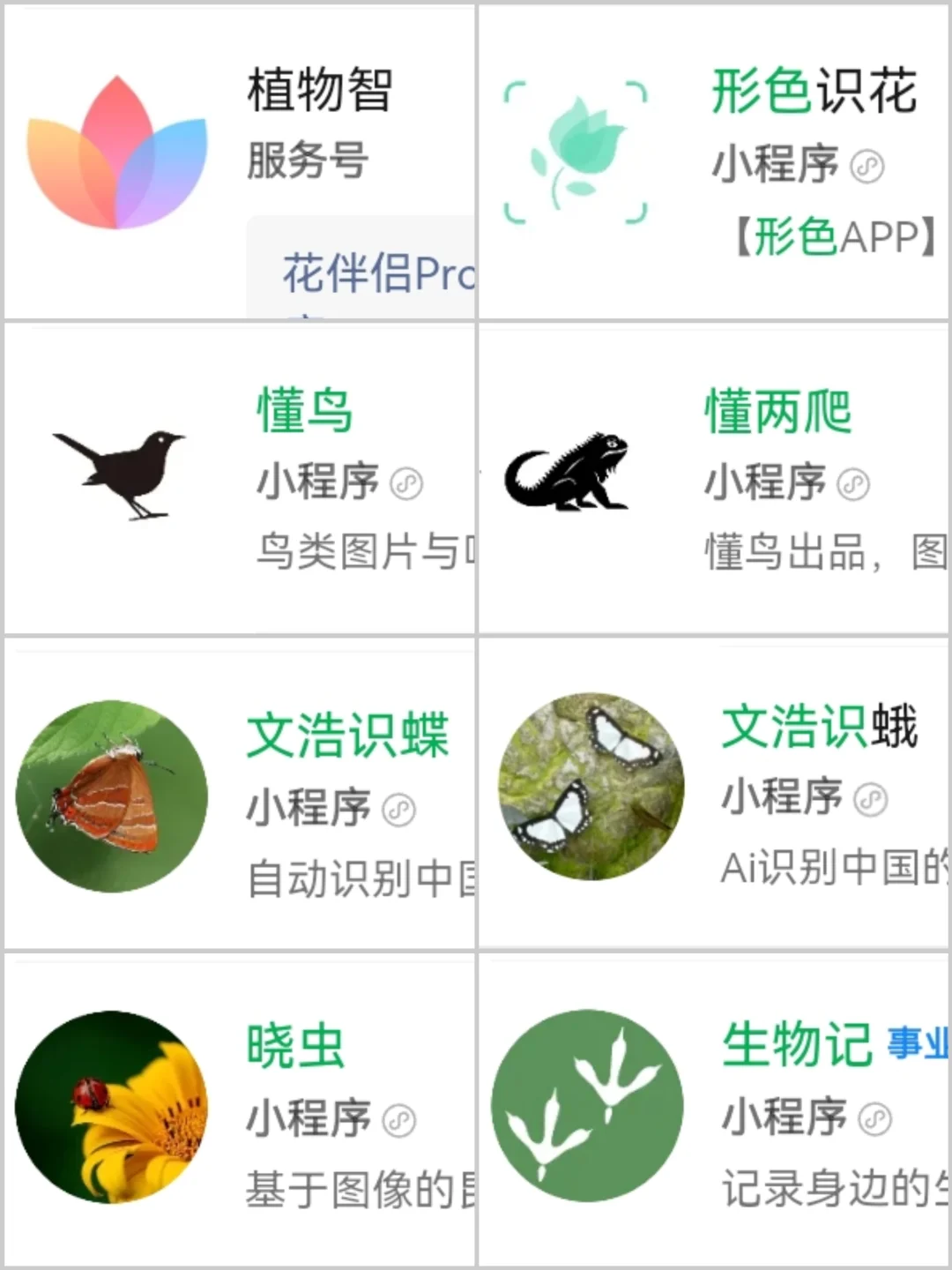 8️⃣个实用科普小程序·探索自然必备工具