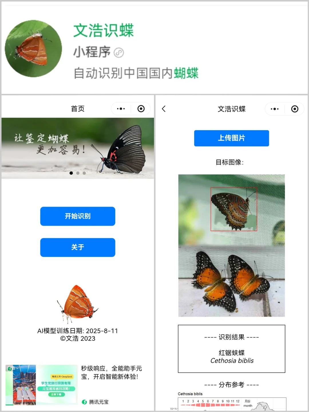 8️⃣个实用科普小程序·探索自然必备工具