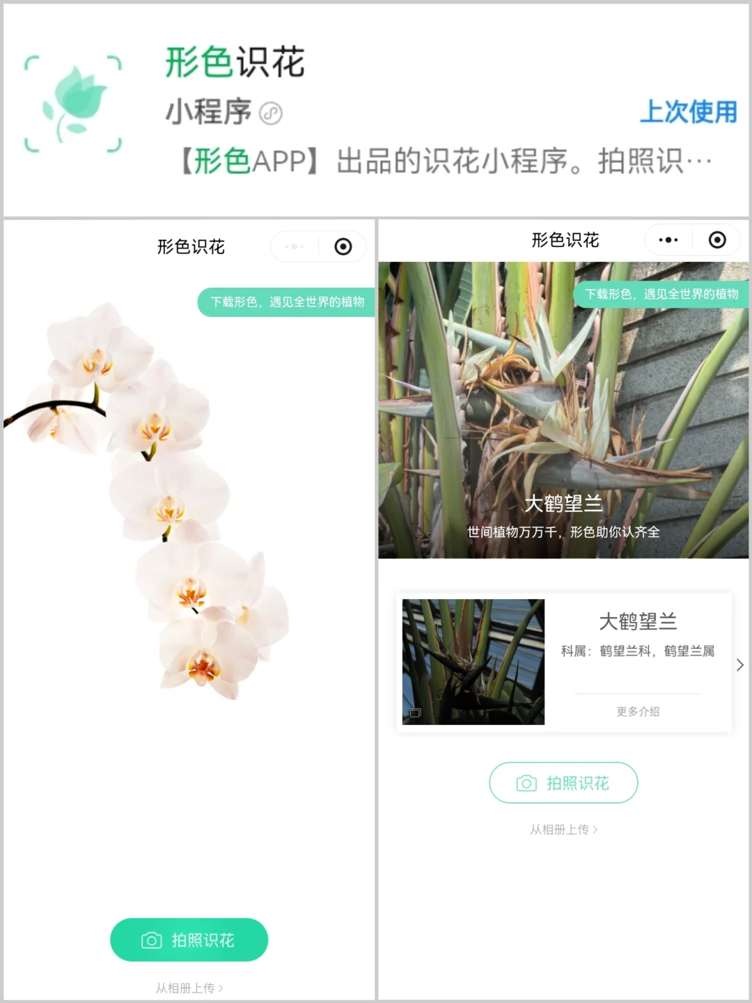 8️⃣个实用科普小程序·探索自然必备工具