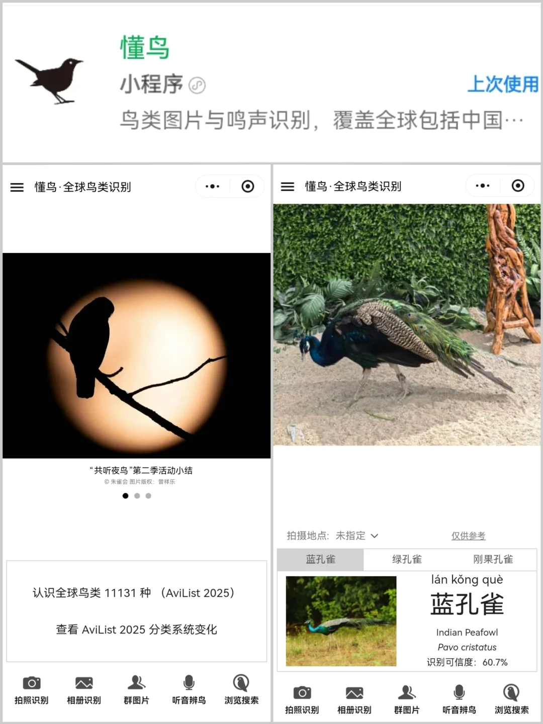 8️⃣个实用科普小程序·探索自然必备工具