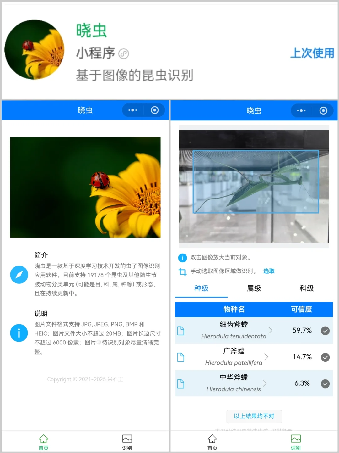 8️⃣个实用科普小程序·探索自然必备工具