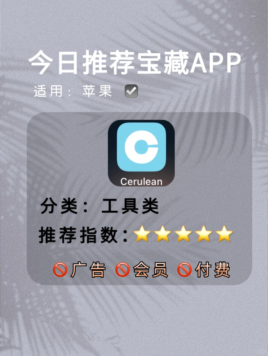 终于找到了苹果的万能工具箱🧰超好用~