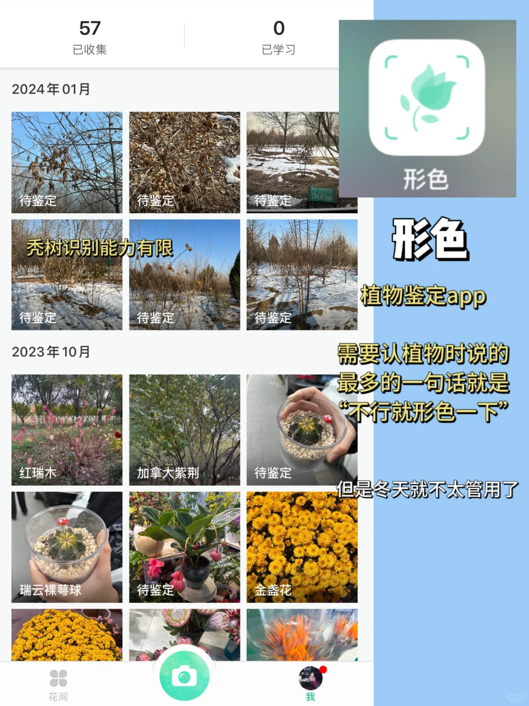 风园研1️⃣｜常用app分享🔧手机“暴改”工具箱