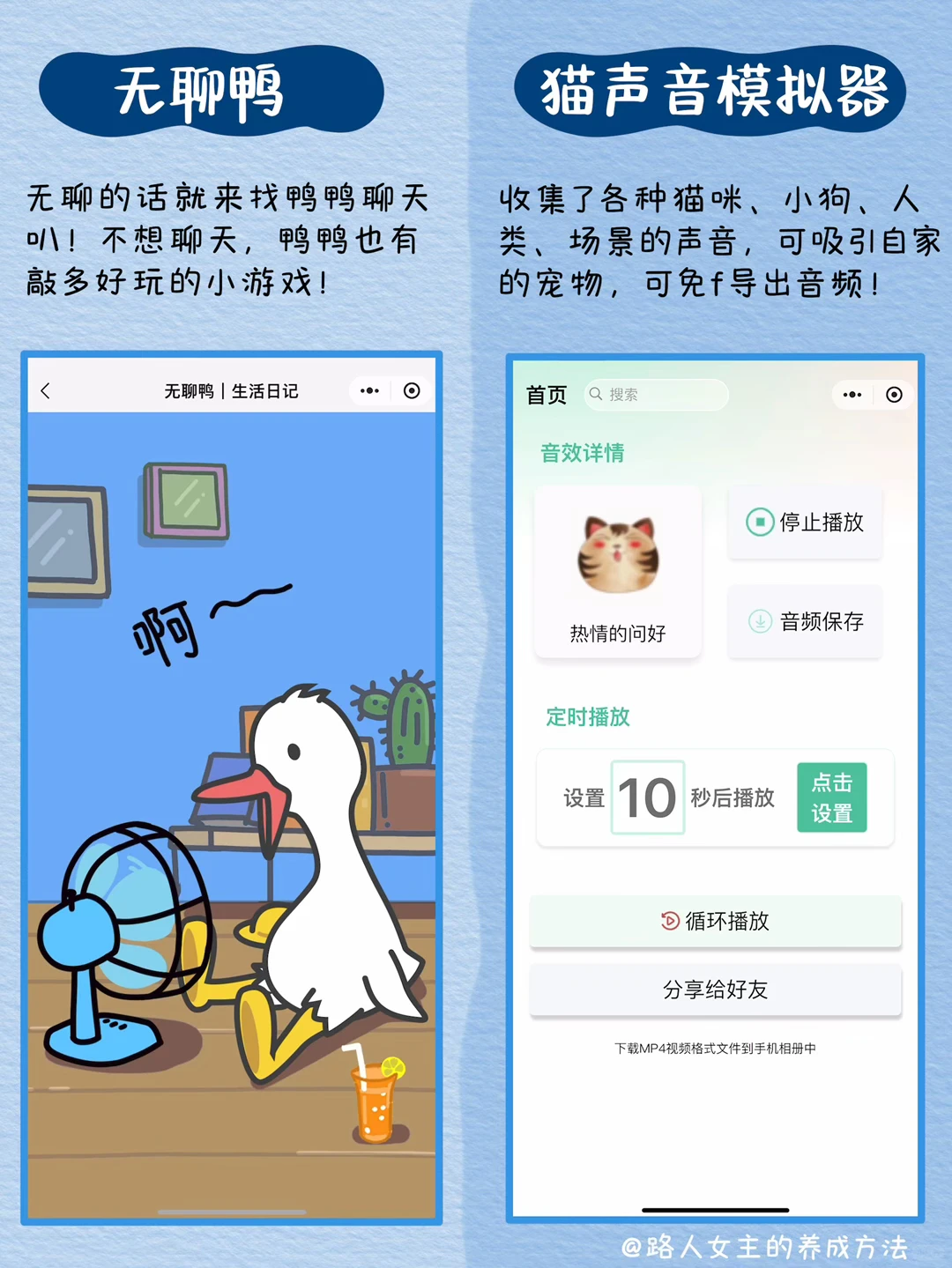 30个沙雕微信小程序，奇怪的知识又增加了❗️