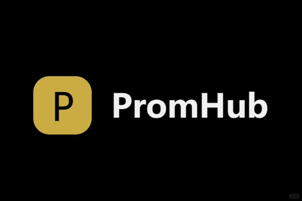 PromHub震撼发布