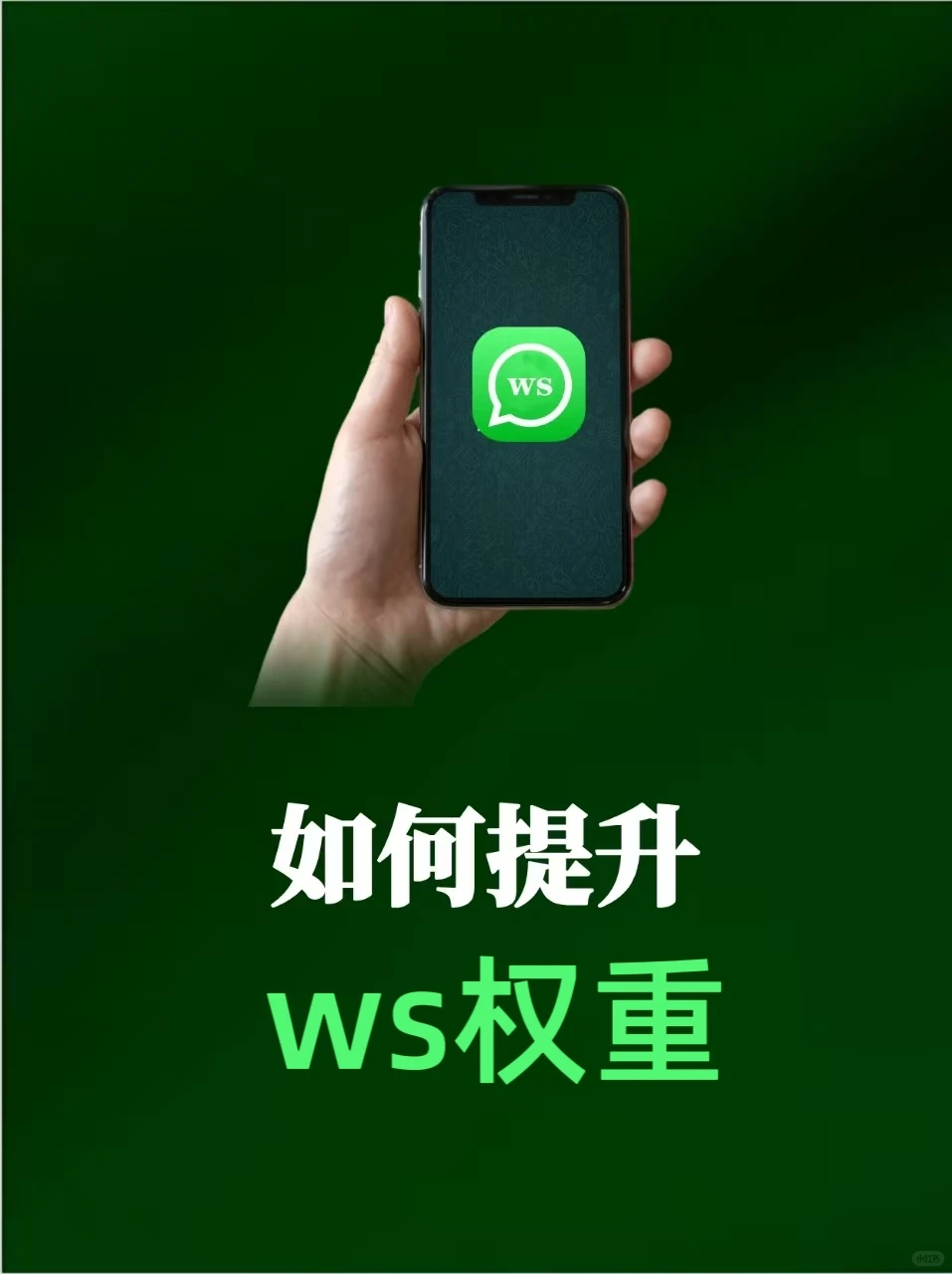 首选这款工具，如何用Whatapp提升客户量