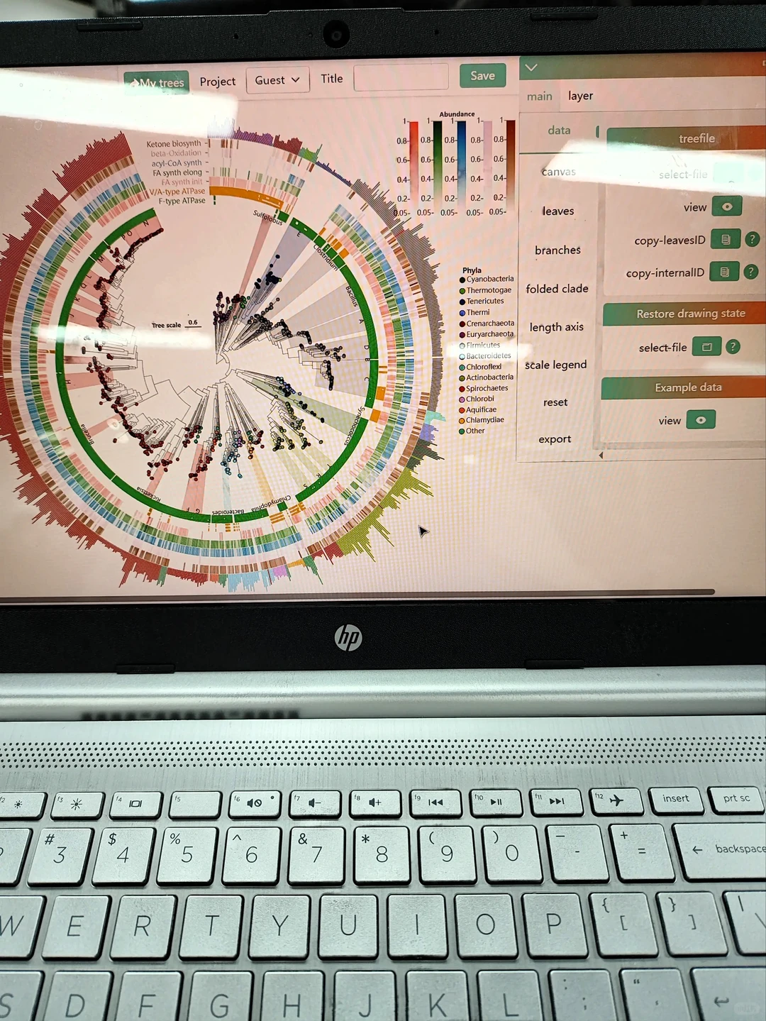 这网网站我愿成为年度最伟大发现