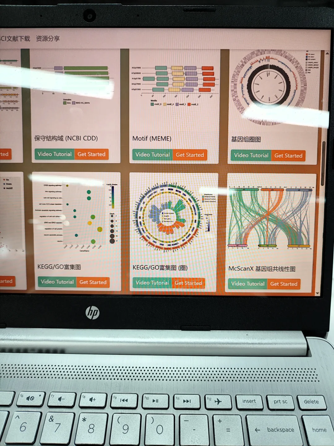 这网网站我愿成为年度最伟大发现