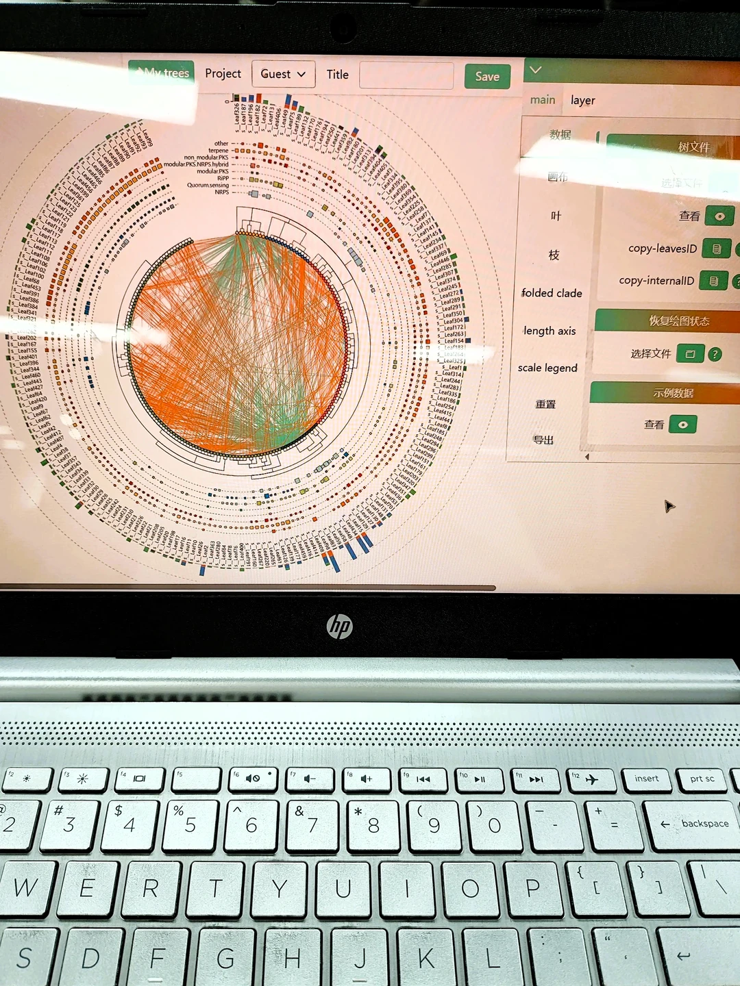 这网网站我愿成为年度最伟大发现