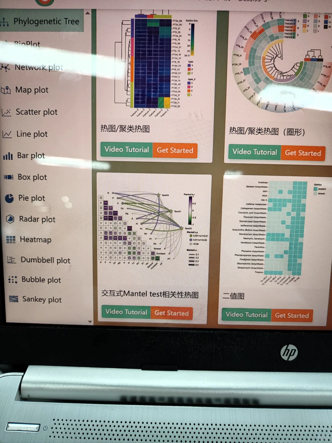 这网网站我愿成为年度最伟大发现