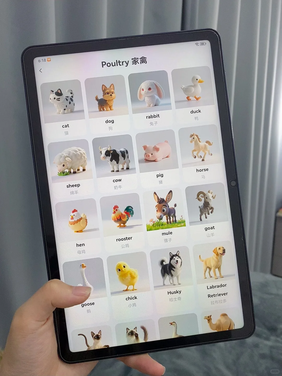 试过7-8个英语启蒙app了，娃独爱这个