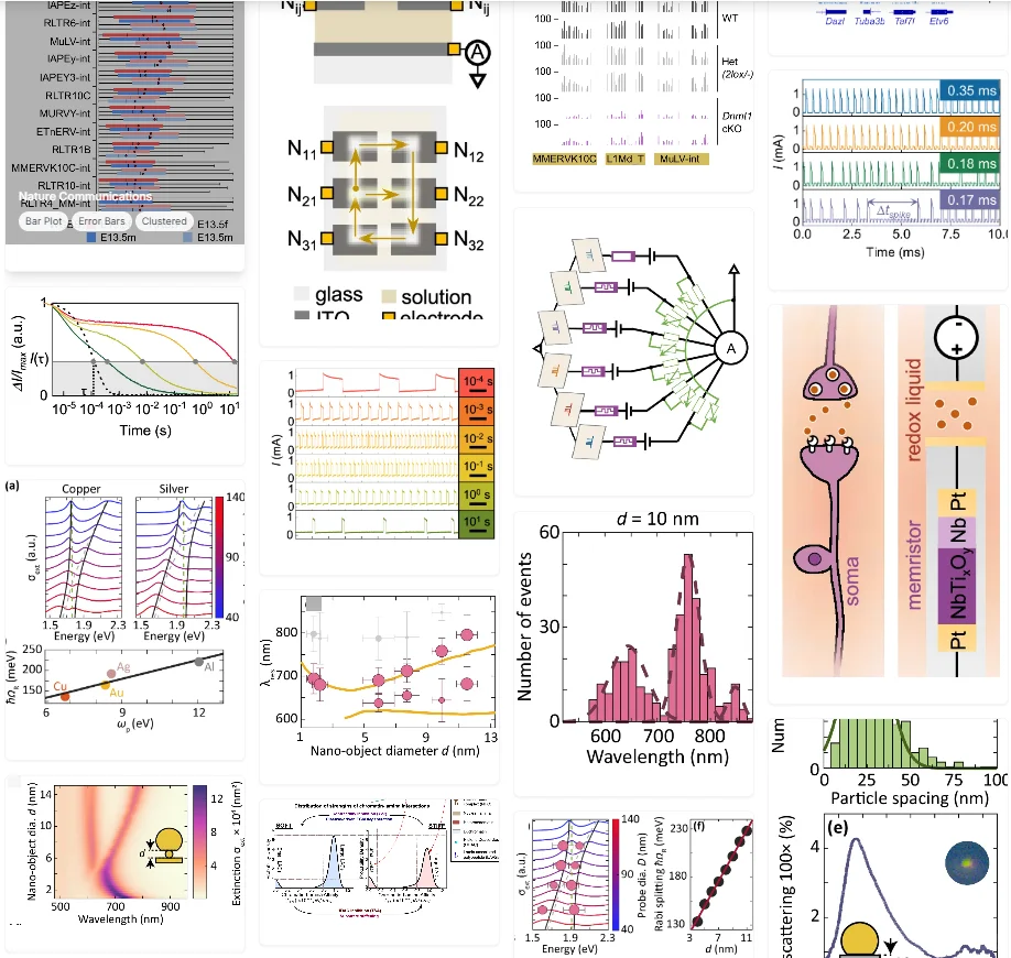 分享系列|科研图太丑？是你没用对工具