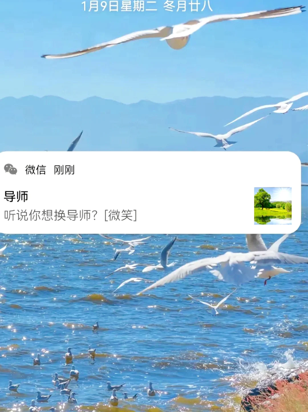 这是导师以为你知道的科研工具！！！