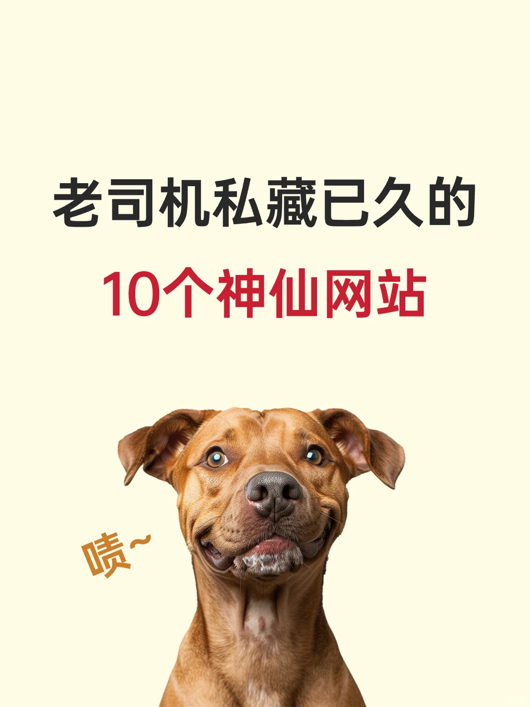 老司机私藏已久的10个神仙网站，爱了爱了~