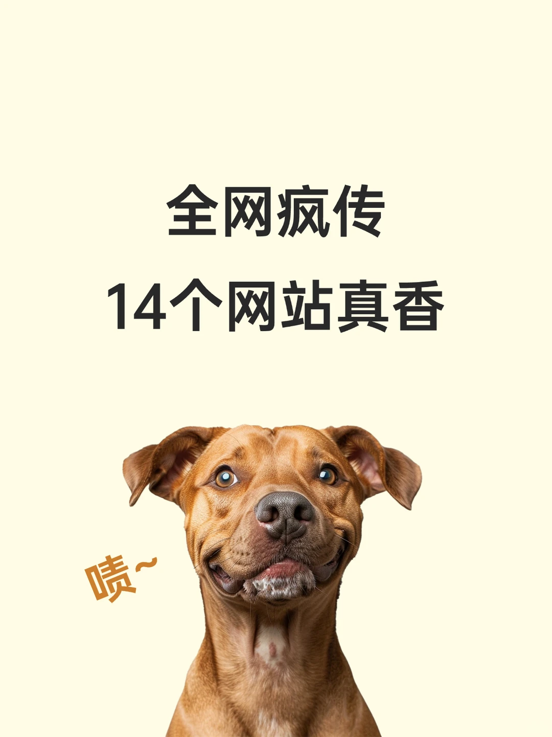 全网疯传的14个网站，爱了