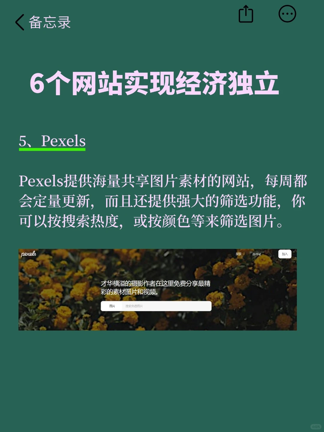 囊中羞涩就看看这6个网站