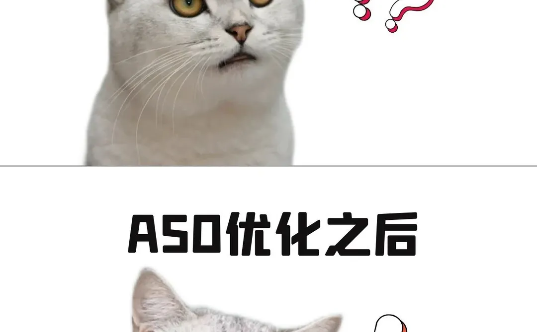 别让新 APP 沉底！刚上架做 ASO 太重要了