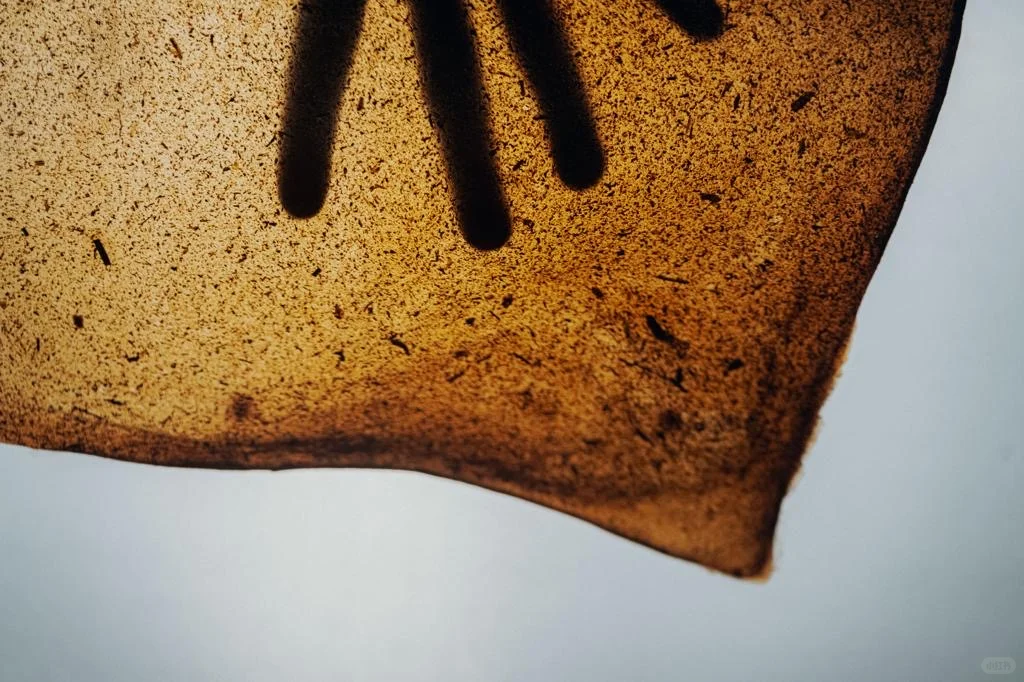 一个超好用的材料实验网站分享🧪Materiom