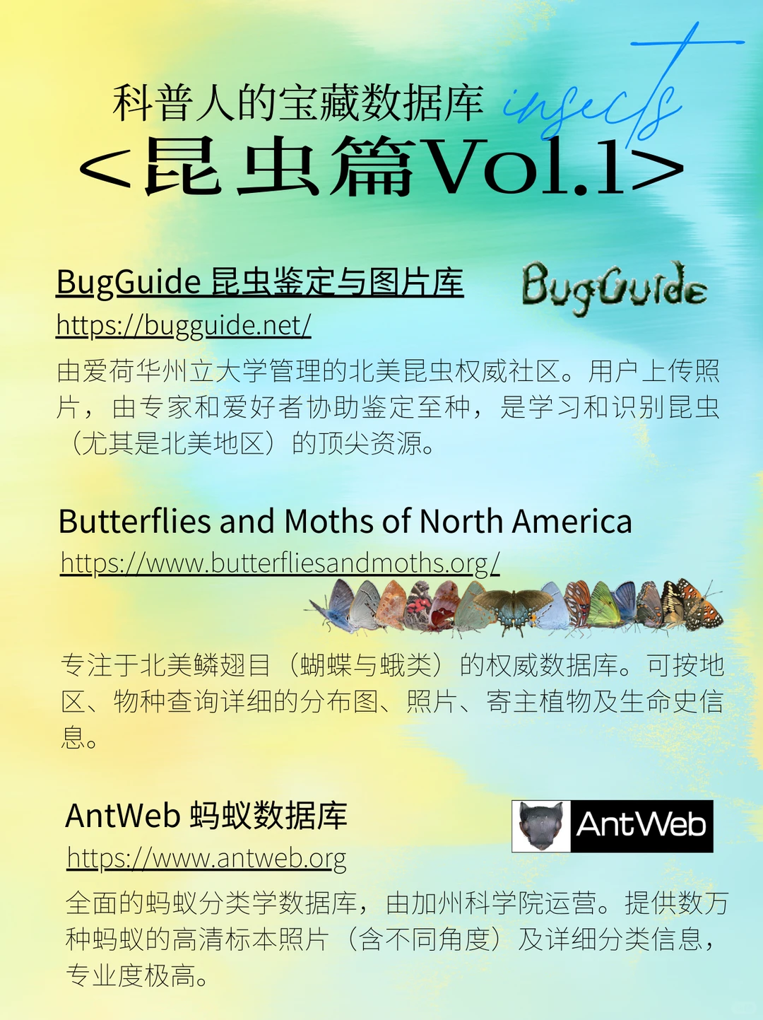 虫！9个压箱底的虫虫网站！