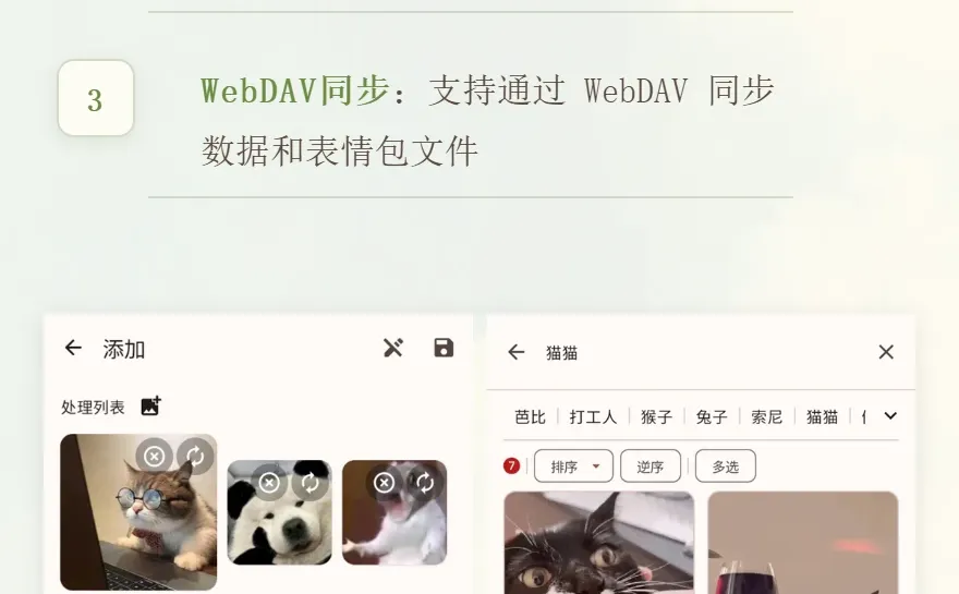 我淘到了三个免费实用的小众软件