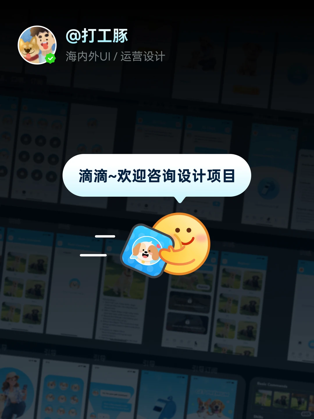 原创UI项目 I 海外宠物翻译APP设计
