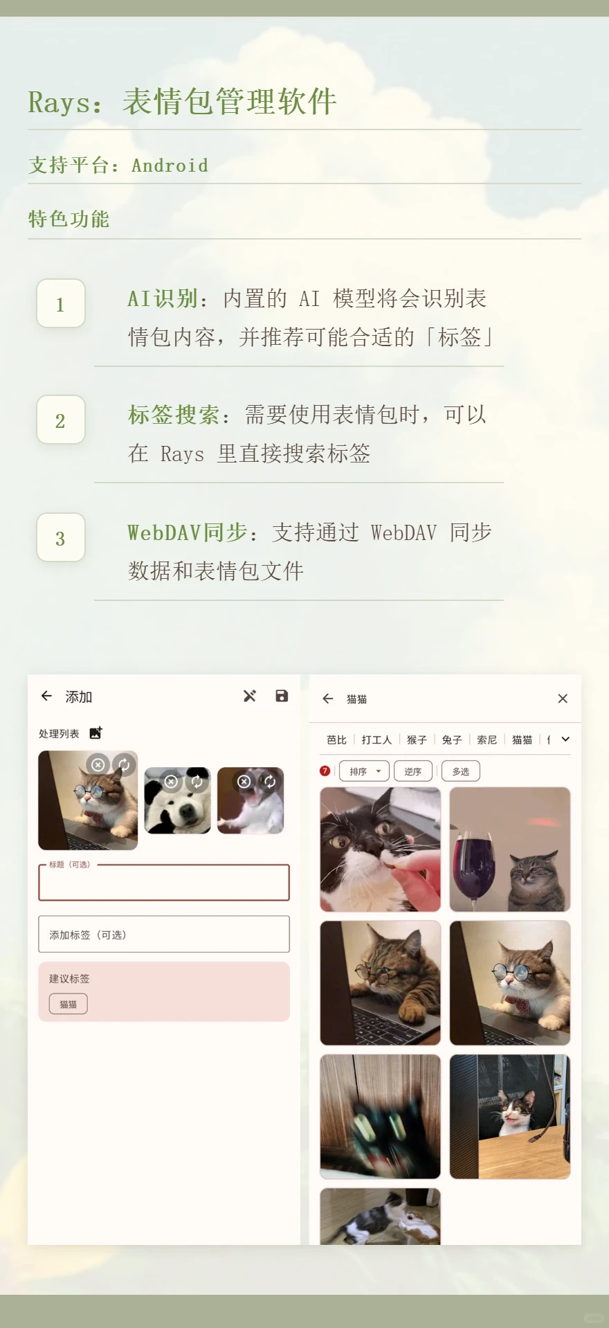 我淘到了三个免费实用的小众软件