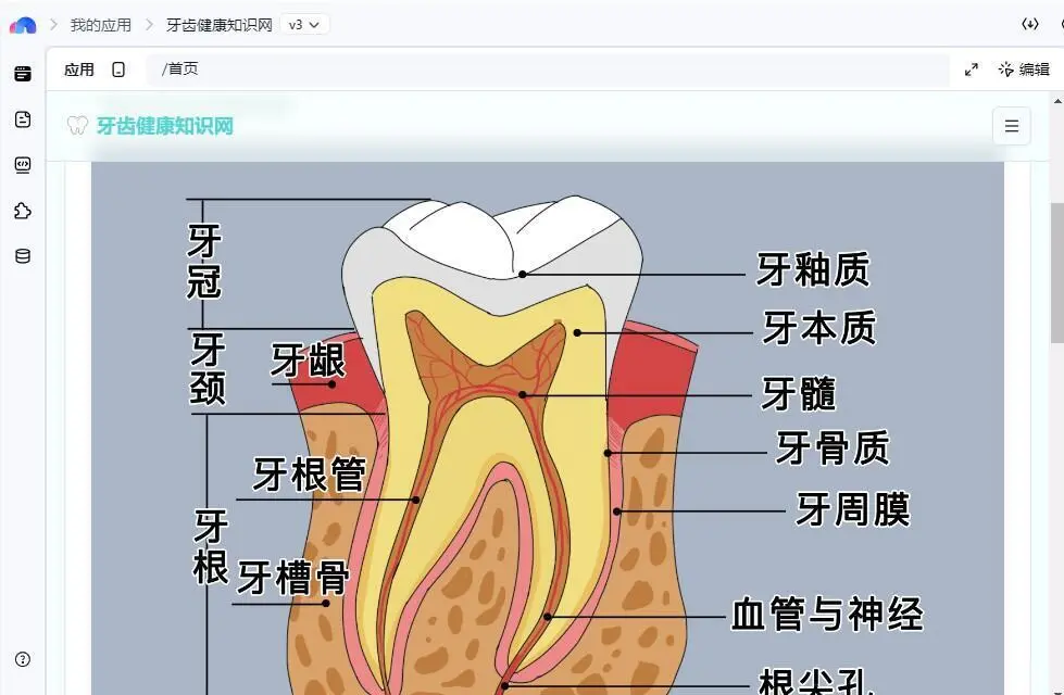 创意不悬空，变生意即刻发生，用秒哒