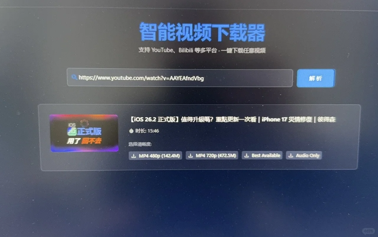 闲着无聊开发了一个视频智能下载网站