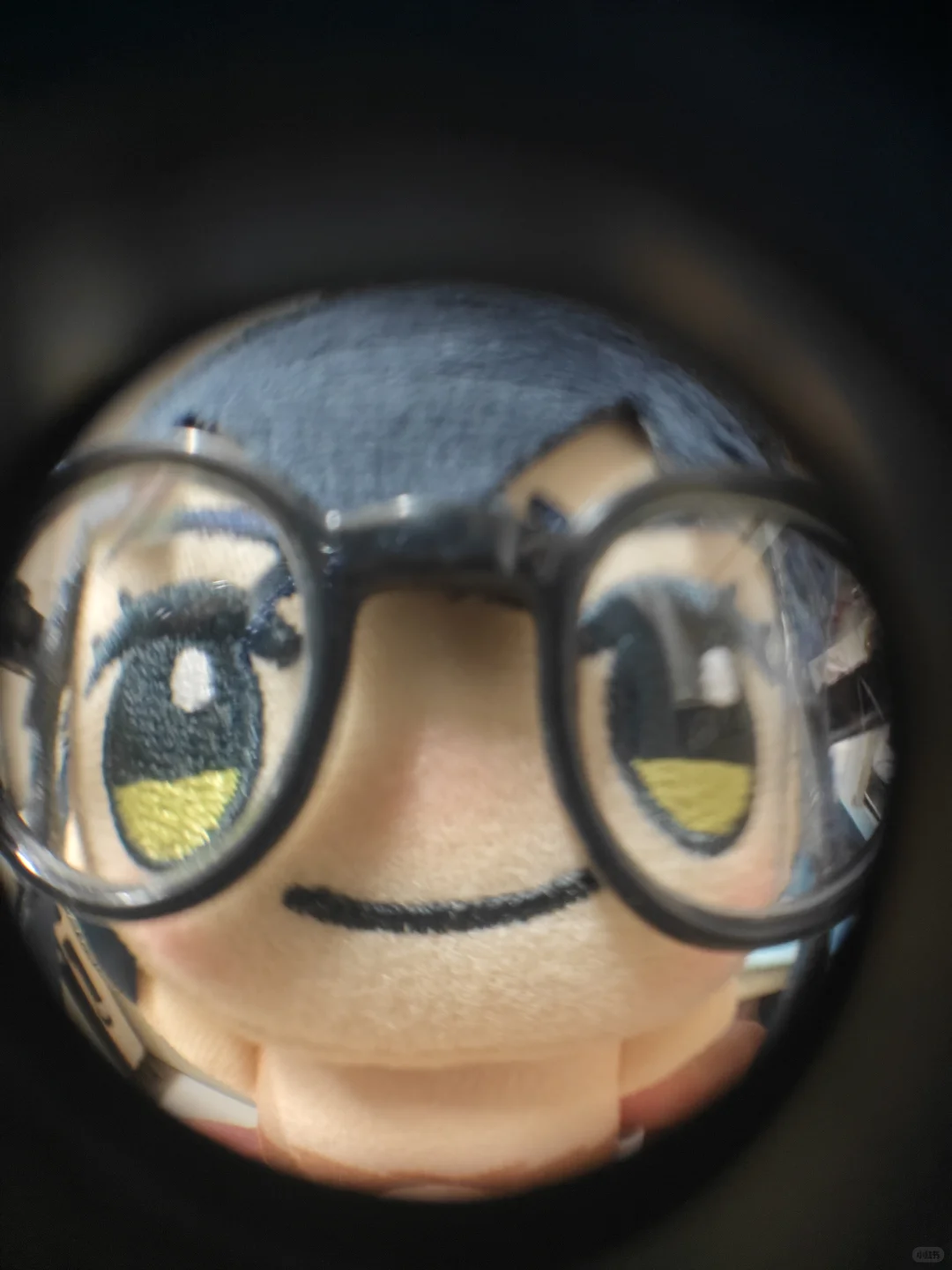 左滑看猪猪整容