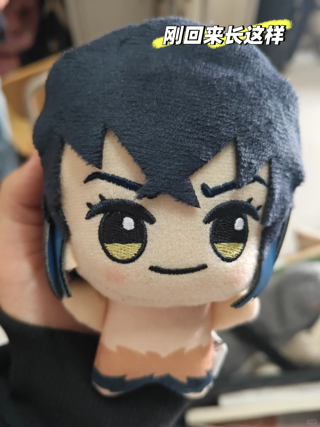 左滑看猪猪整容