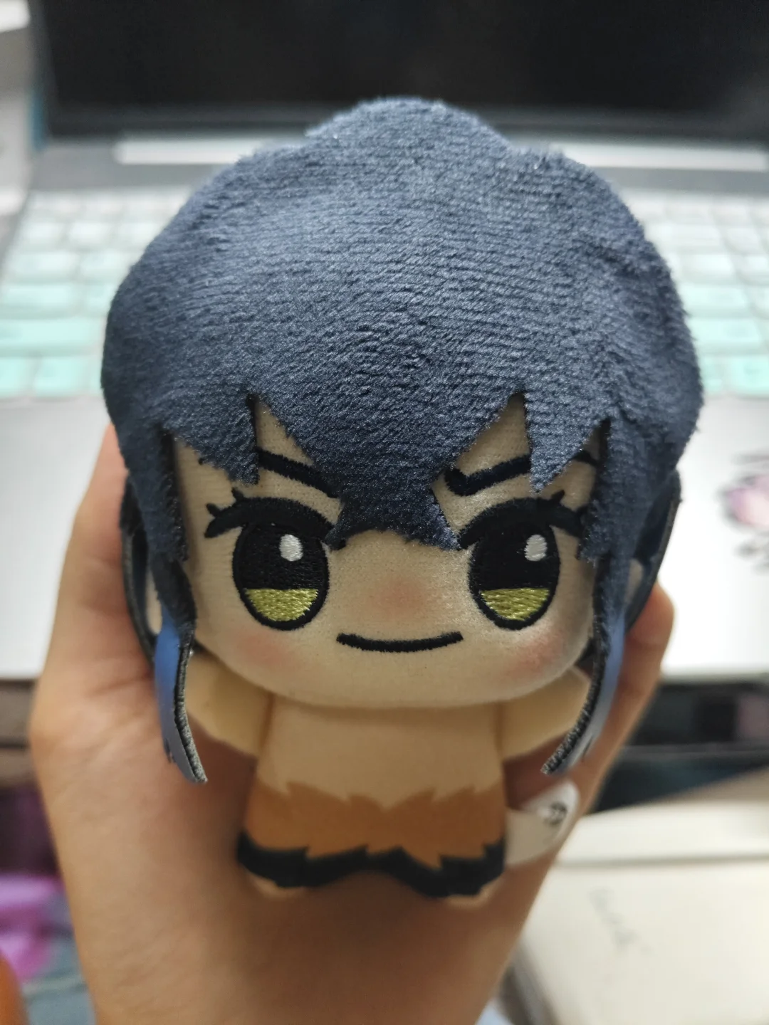 左滑看猪猪整容