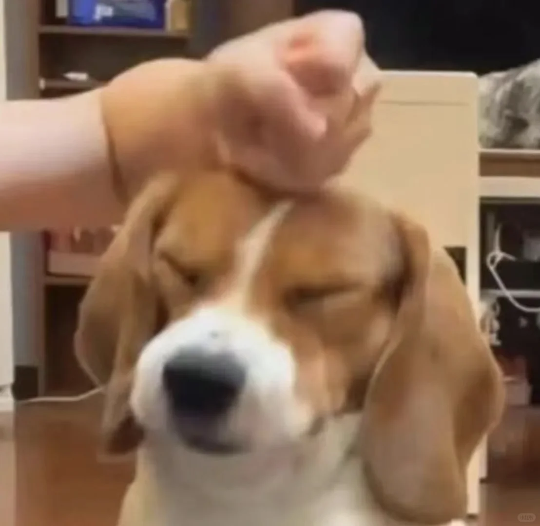 夏以昼整容前竟然……