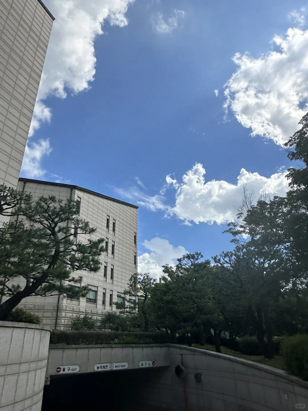 梨花夏校初体验！