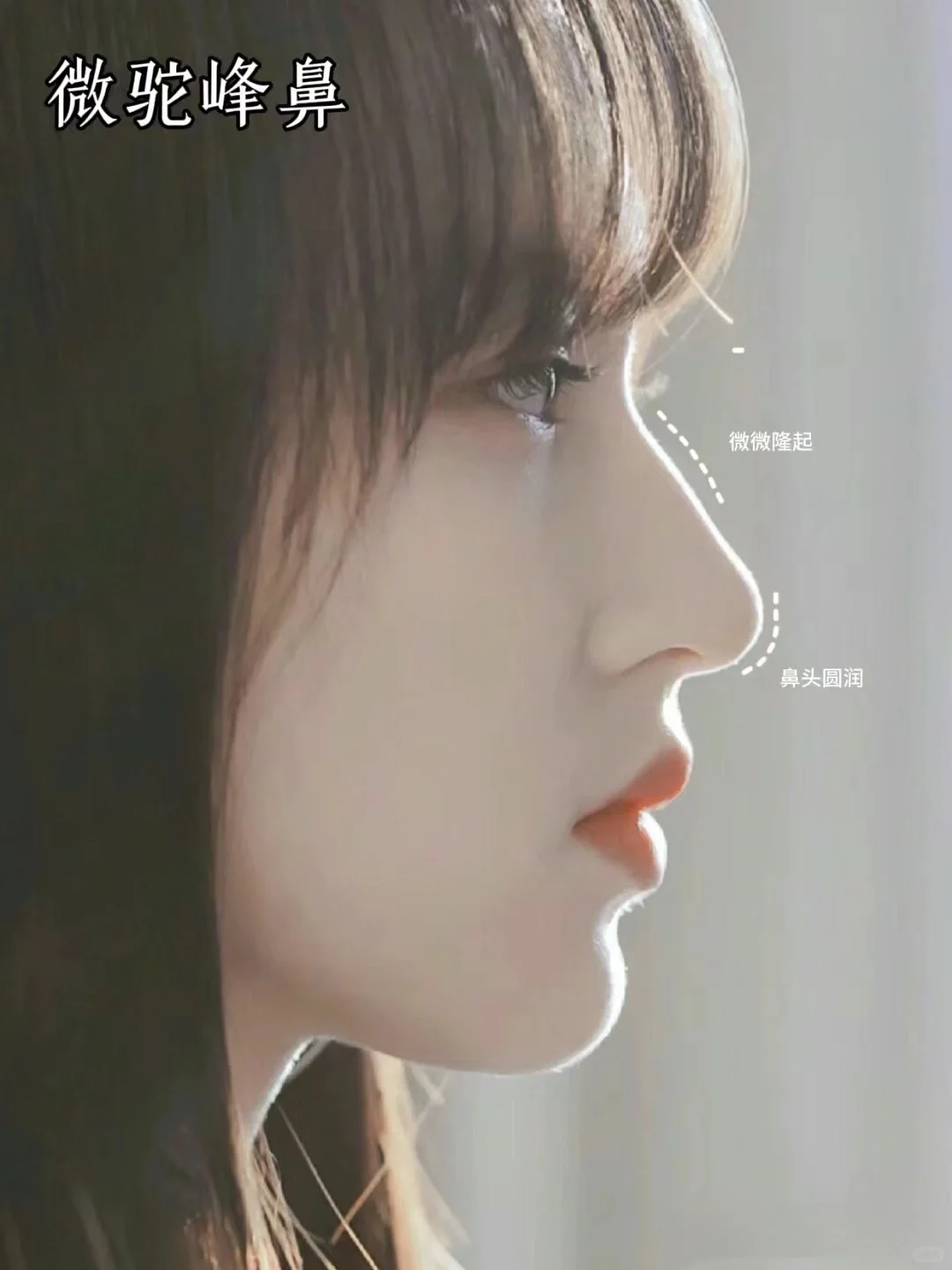 六种鼻型，你喜欢哪一款