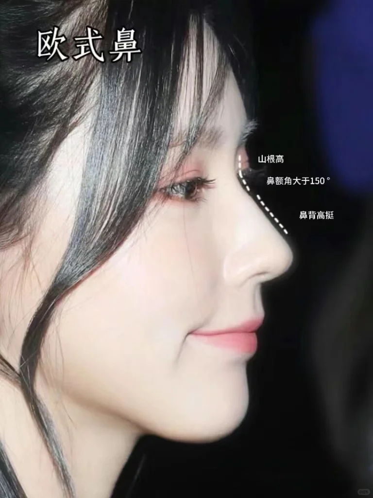 六种鼻型，你喜欢哪一款