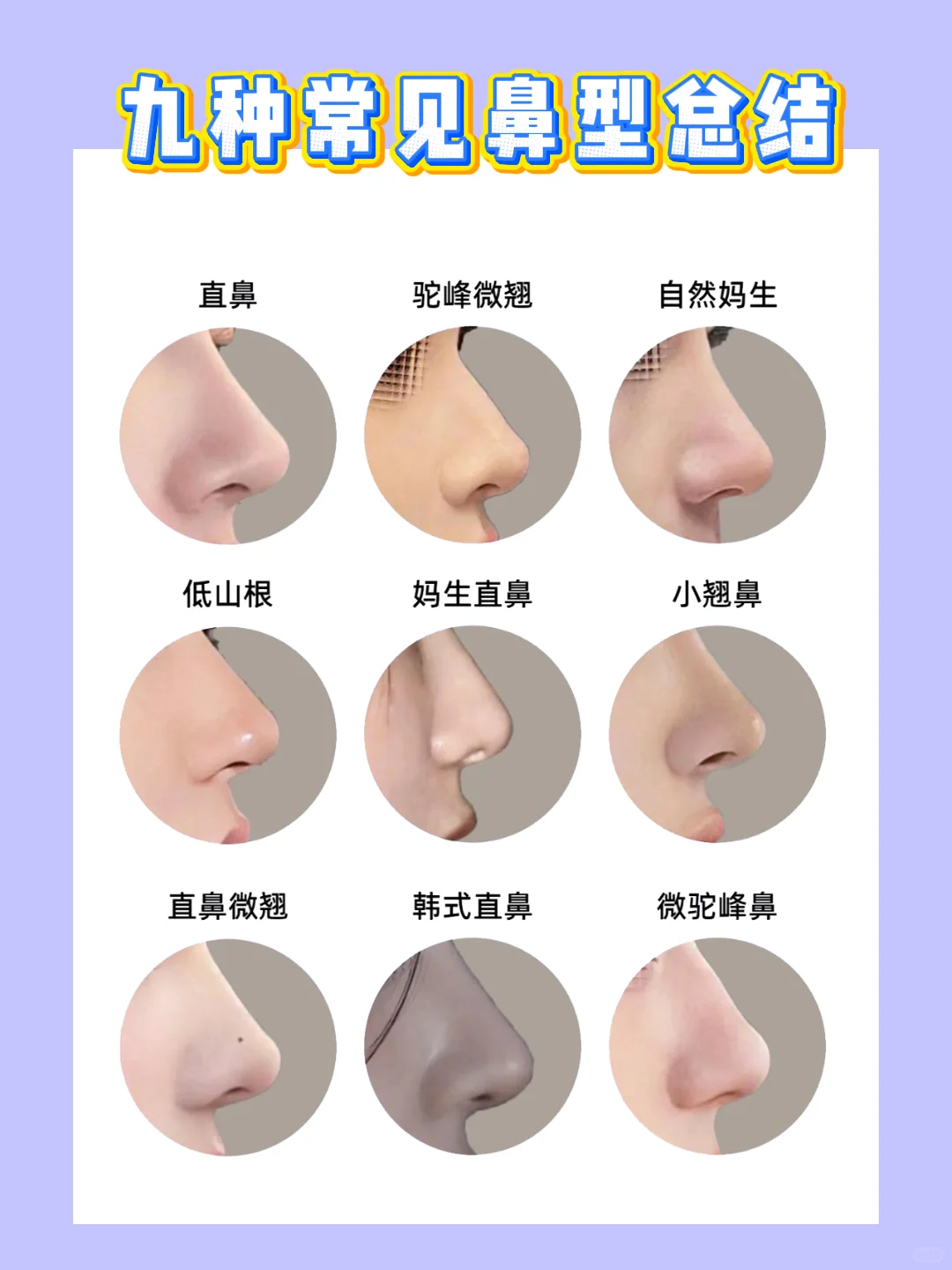 看看你是哪种鼻型，最喜欢哪一种？