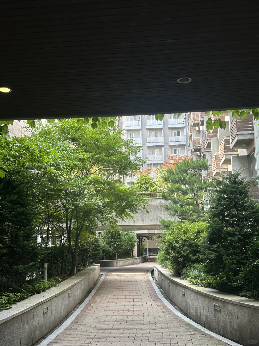 梨花夏校初体验！