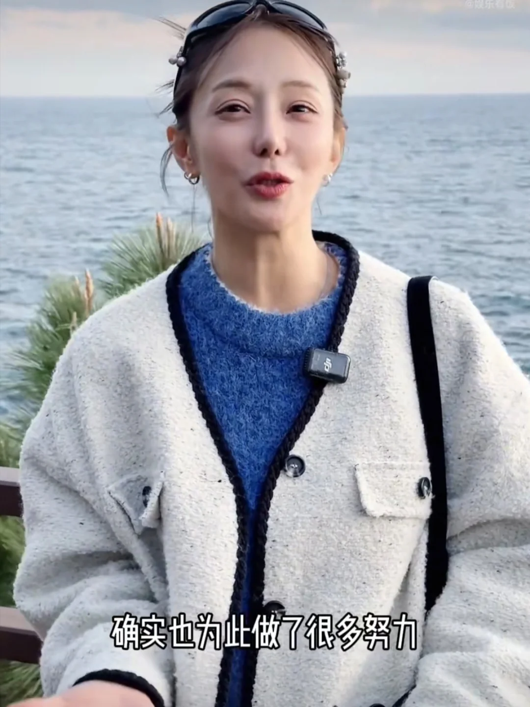 夏之星扮演者刘荷娜回应整容