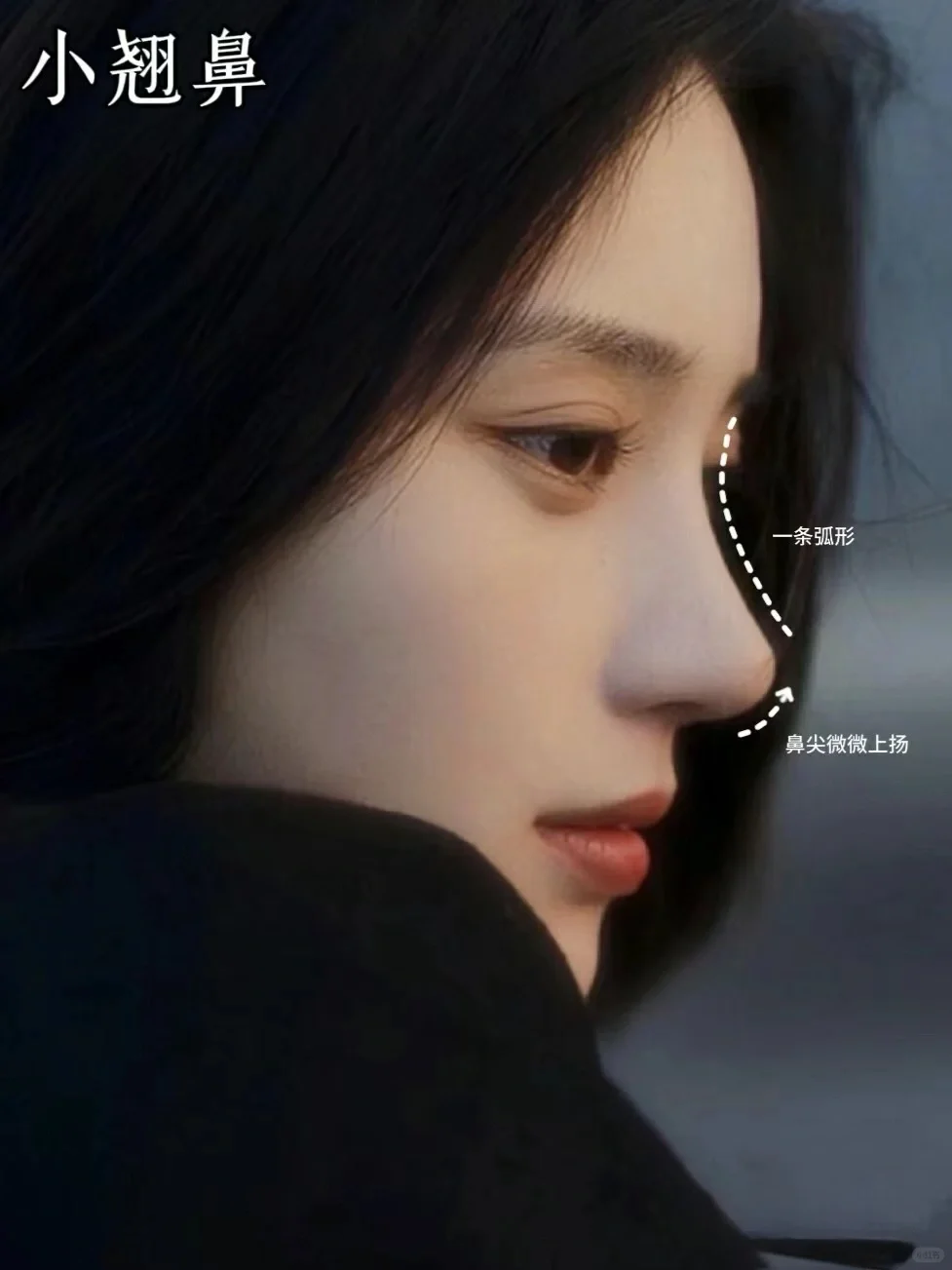 六种鼻型，你喜欢哪一款