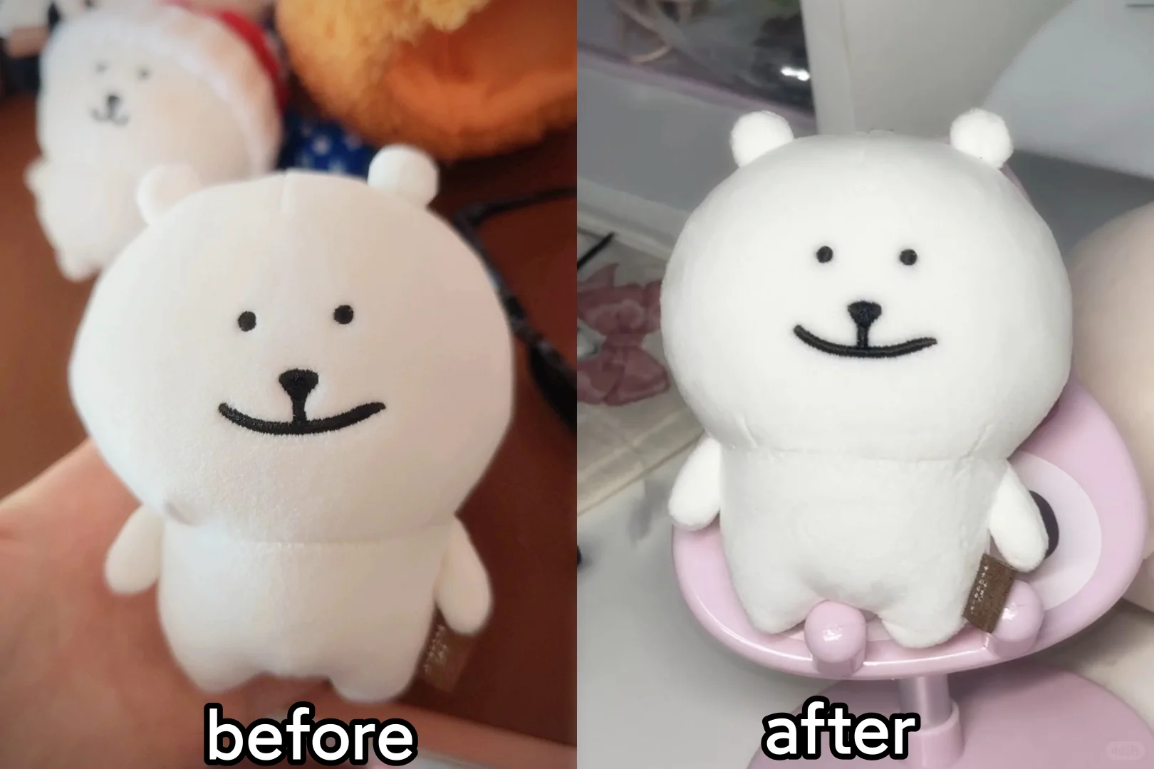 伪熊，整容成功