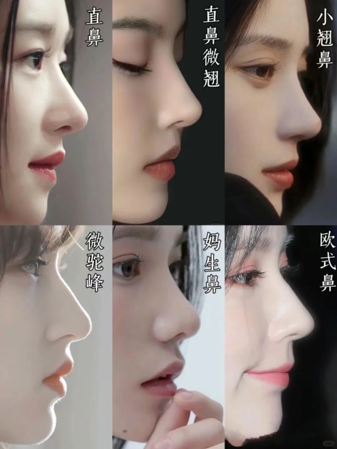 六种鼻型，你喜欢哪一款