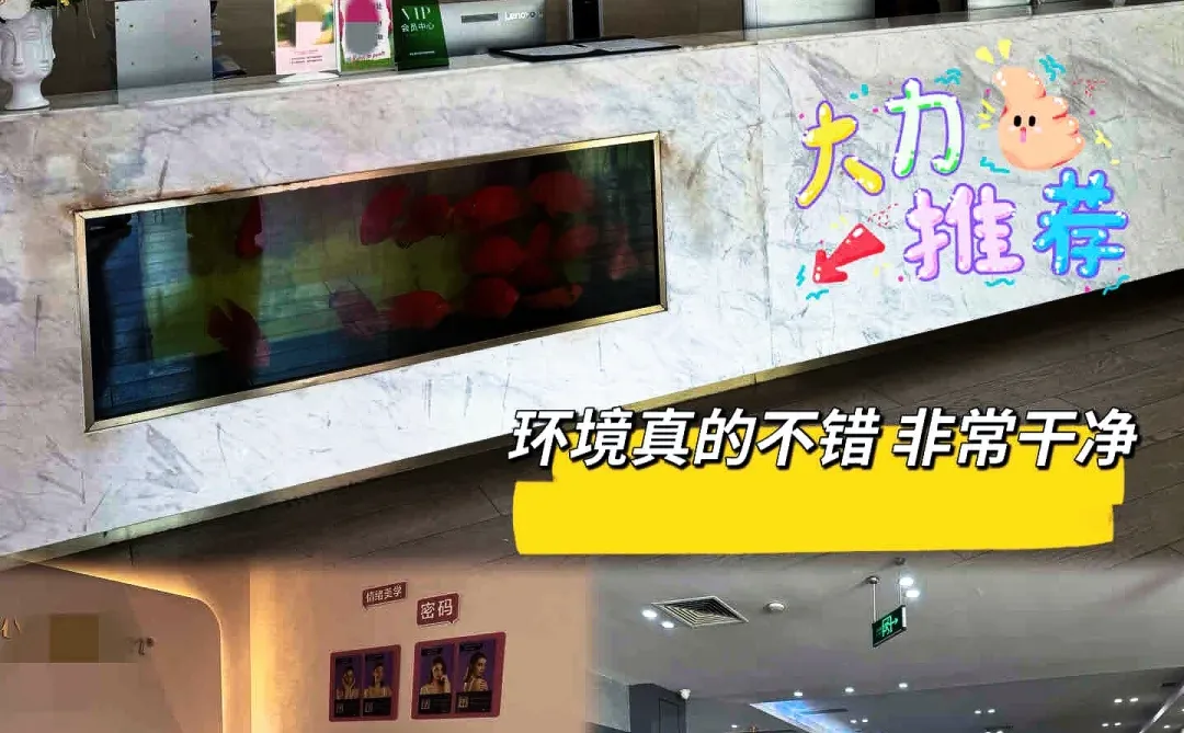 后悔没有早点来！谭宝棒棒~