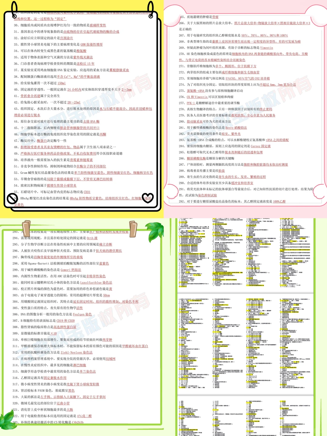2026年卫生资格证考试报名即将开始