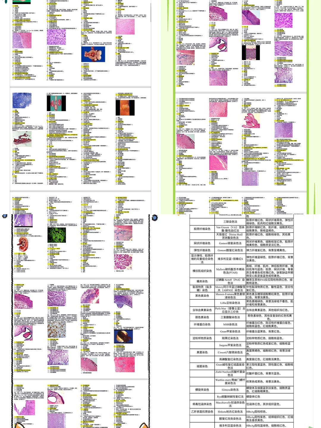 2026年卫生资格证考试报名即将开始