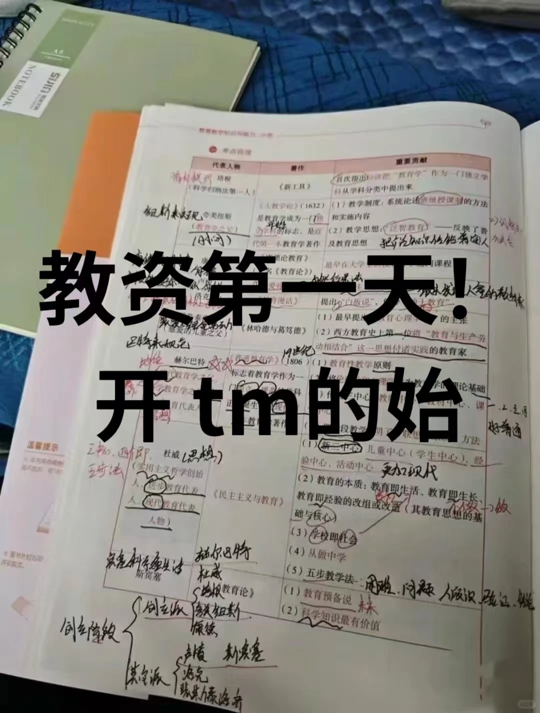 假如你从11月18日开始备考26上教资(差生版