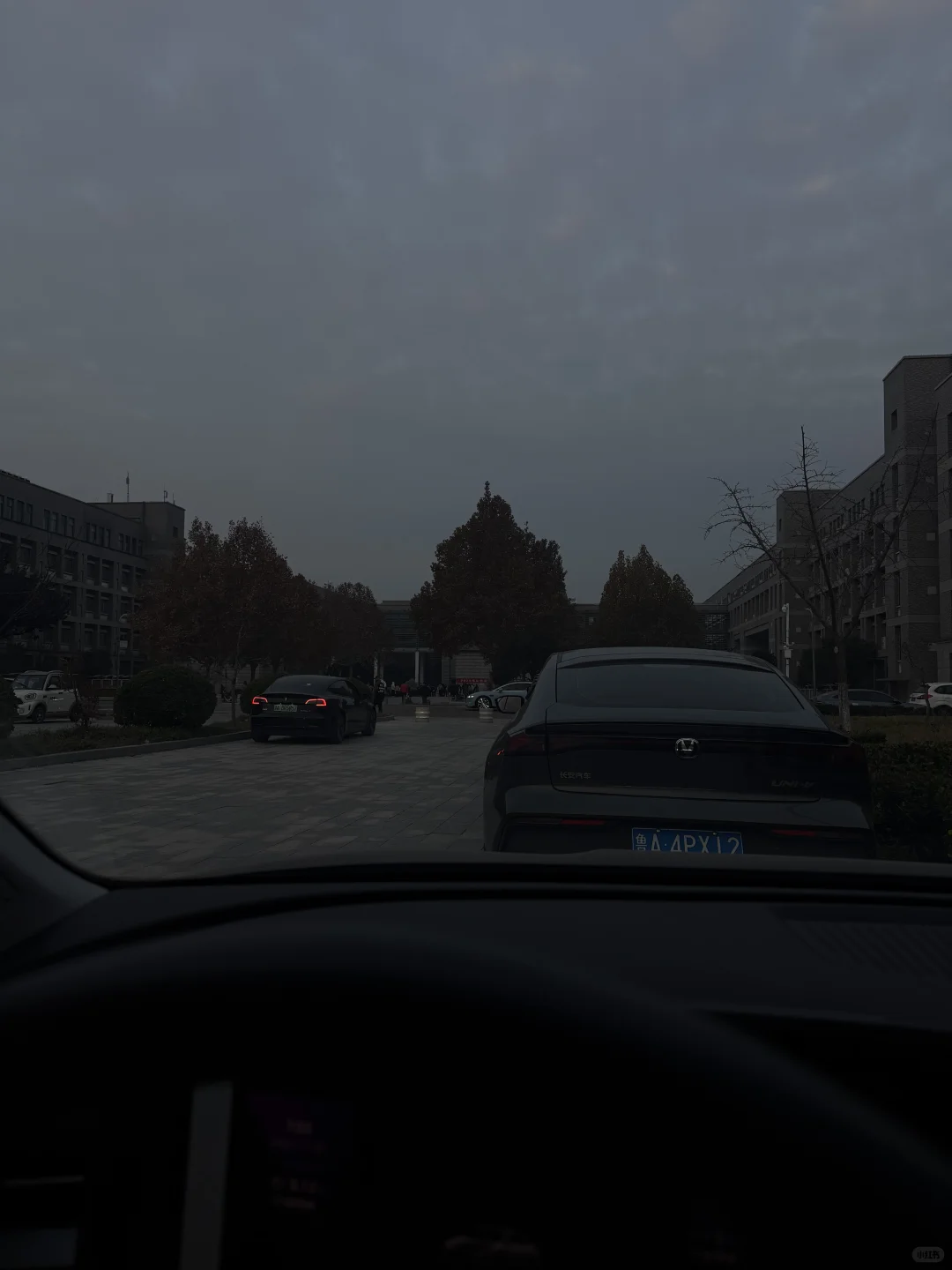 山东高校教师资格证